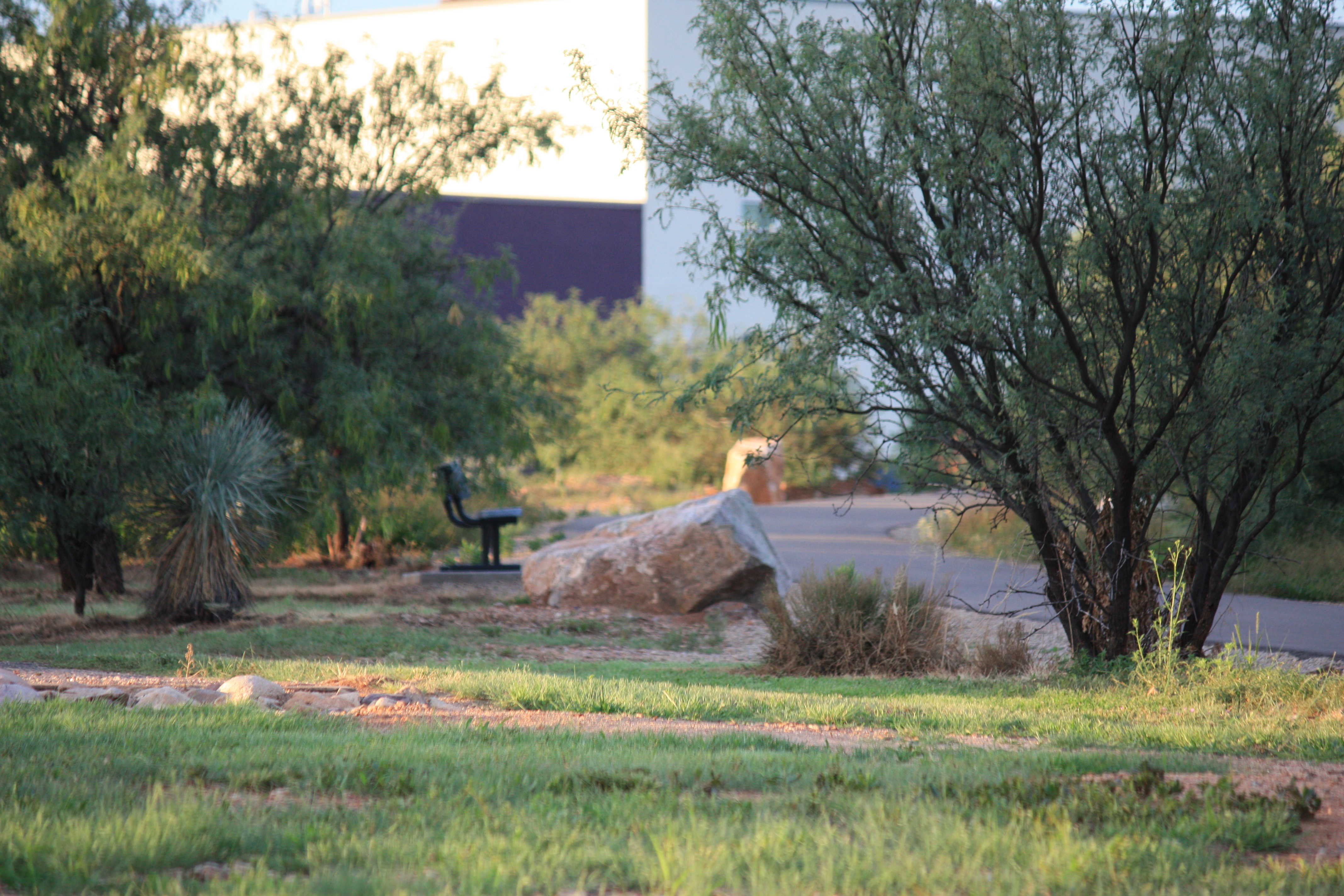 Picture of a pathway in the middle of nature, a bench is next to the path.