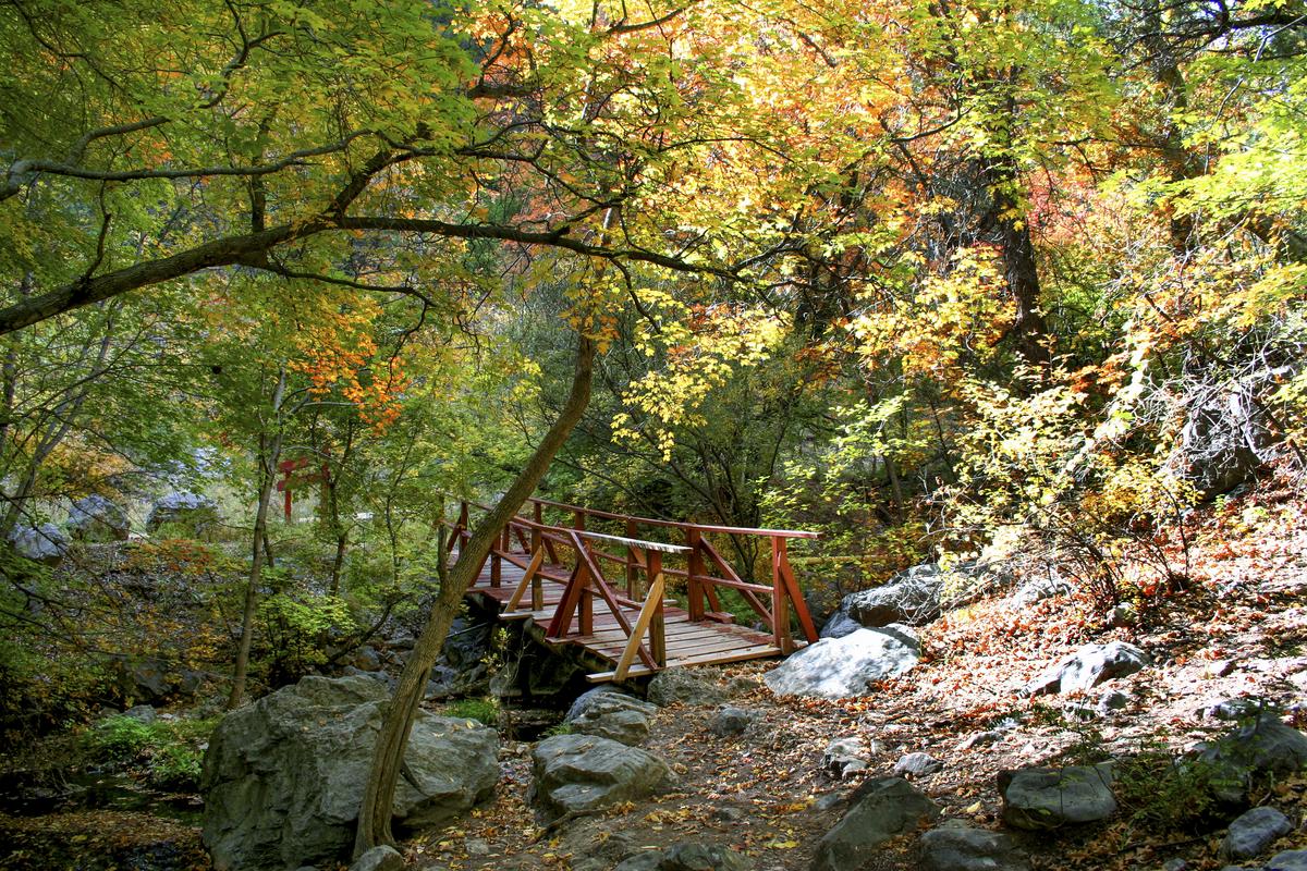 Trees with leaves turning from green to orange and yellow surrounding a weathered red bridge.