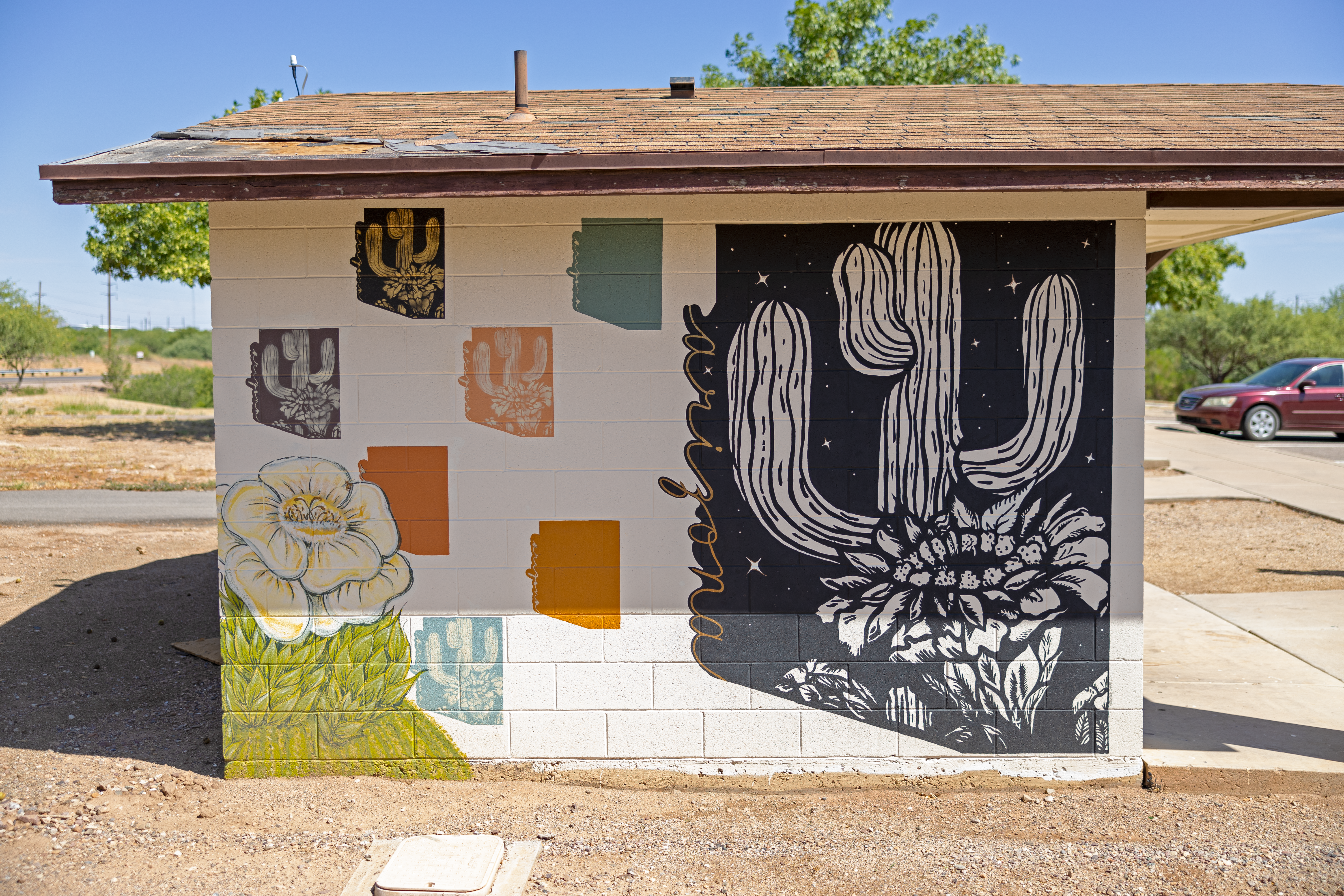 Arizona art on the side of a small building. The art features the shape of the state of Arizona and cacti in the shapes and a cactus with a blooming flower at the bottom left of the building.